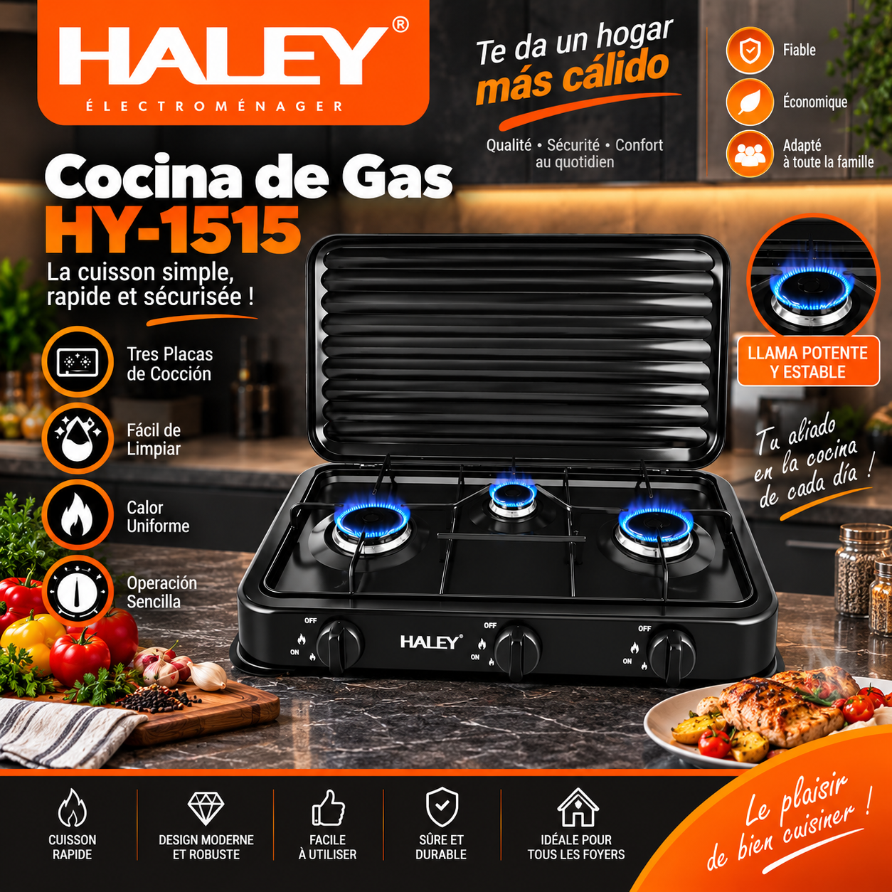 Haley HY-1515, la puissance au service de votre cuisine